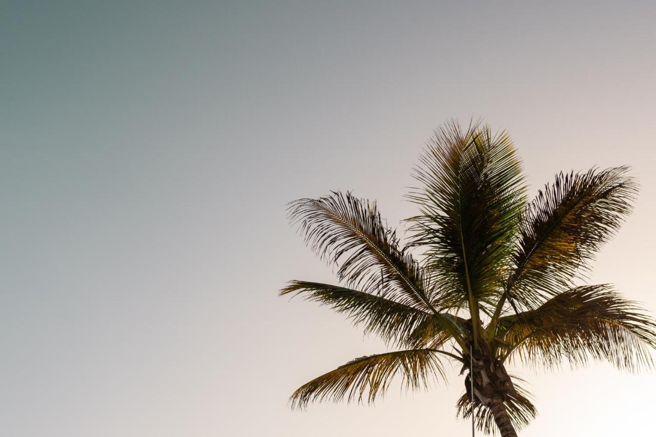 Moderno Piso En Las Palmas De Gran Canaria Exteriér fotografie